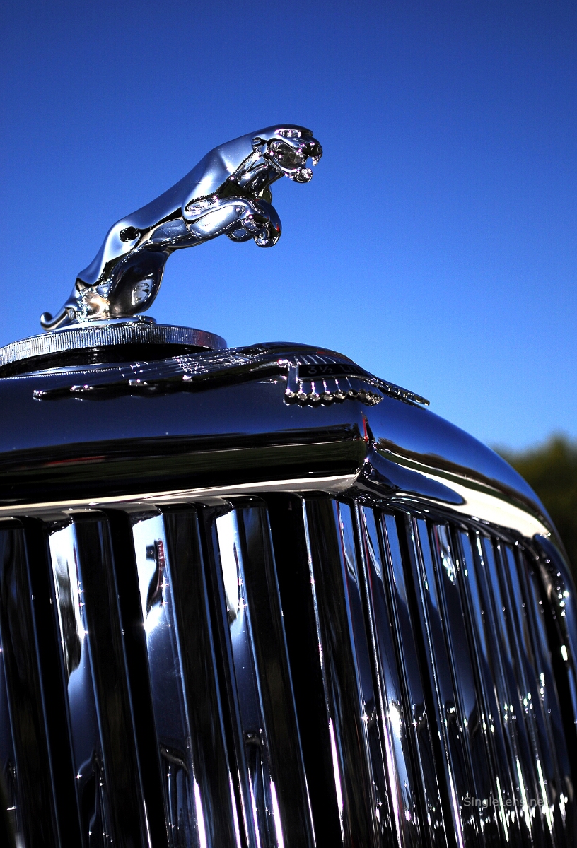 030-Jaguar-Photography.jpg