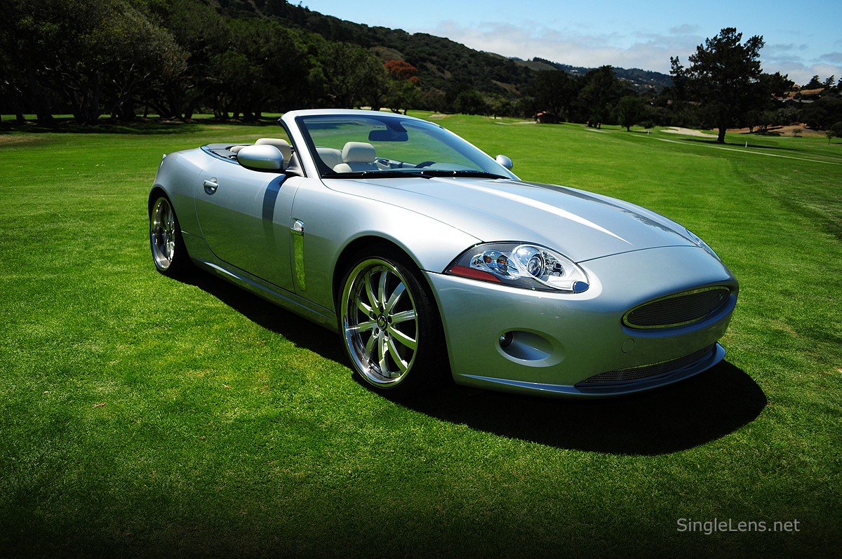 037-Jaguar-Photography.jpg