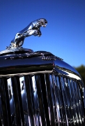 030-Jaguar-Photography