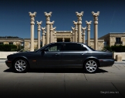 031-Jaguar-Photography