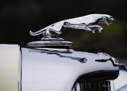 033-Jaguar-Photography