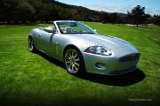 037-Jaguar-Photography