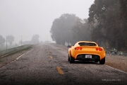 082-Lotus-Photography